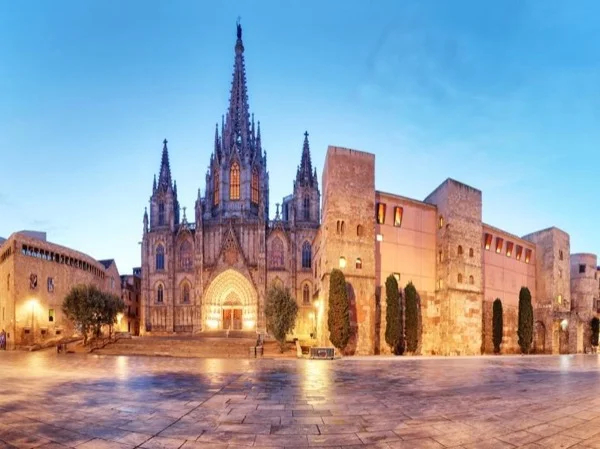 Cover media image