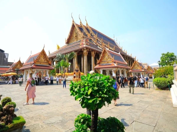 Cover media image