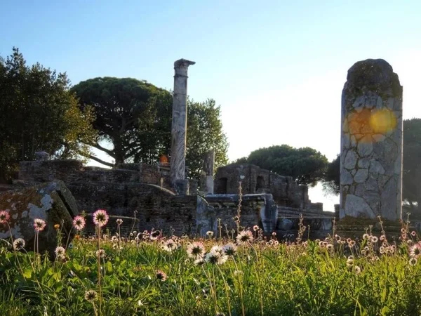 Ostia Antica- Half Day Tour - Transfers Included