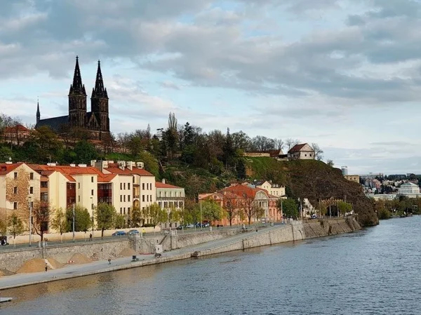 Vysehrad with an Historian - Private Walking Tour in Prague