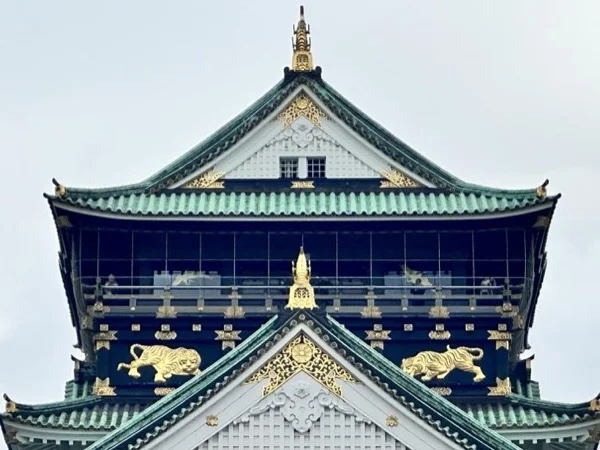 Cover media image