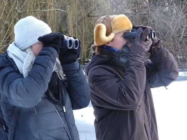 Amsterdam Birdwatching Experience