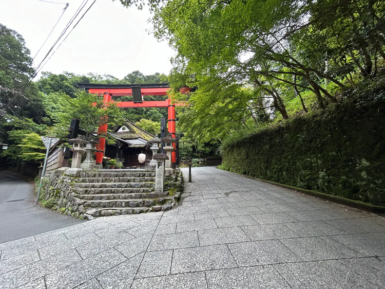 Cover media image