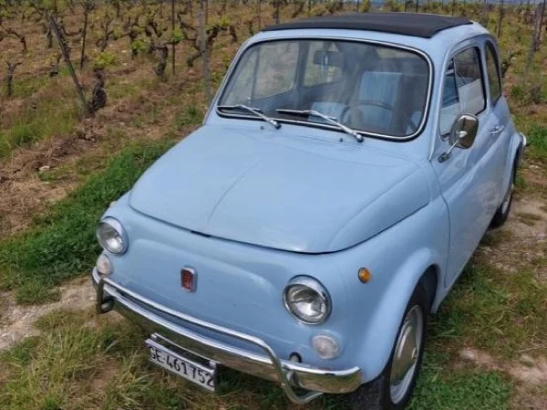 Half Day Trip to Carouge Italian Neighborhood ,Vineyards in a vintage 1960s Fiat