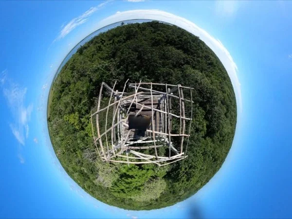 Cover media image