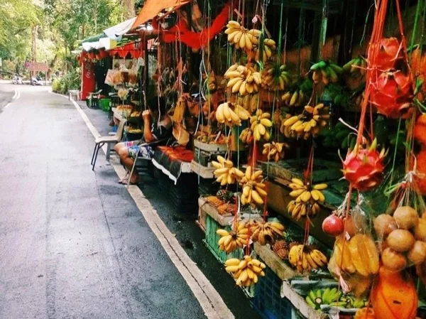 Penang Countryside Tour