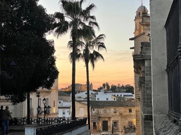 Taste of Jerez: Evening Walking Tour with Flamenco Show &amp; Dinner
