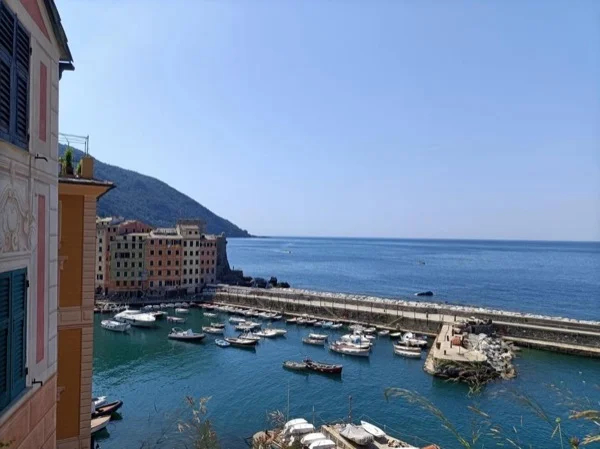 Cover media image