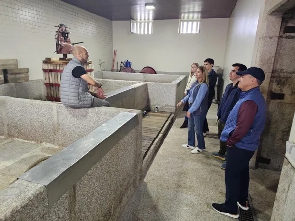 Vinho Verde and Douro Valley Tour