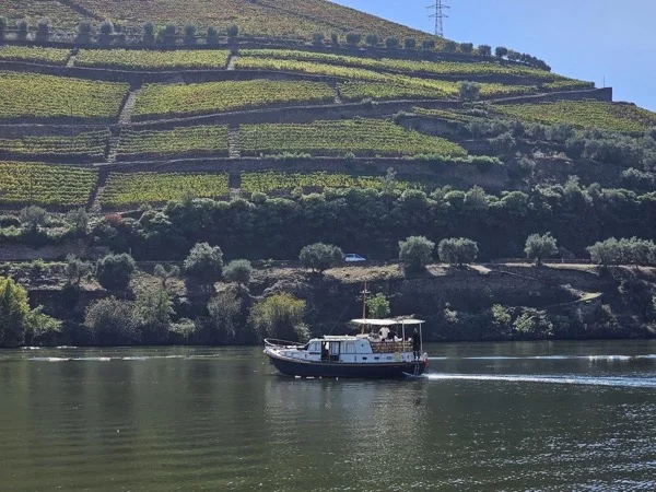 Douro Valley Tour with Private Boat