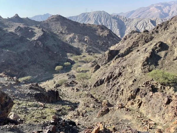Fujairah: The Hajar Mountains and Coast