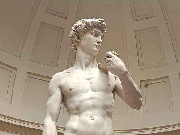 Michelangelo's Life in Florence - Half Day Private Walking Tour