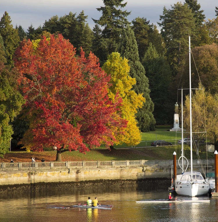Cover media image