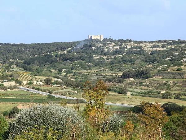 Cover media image