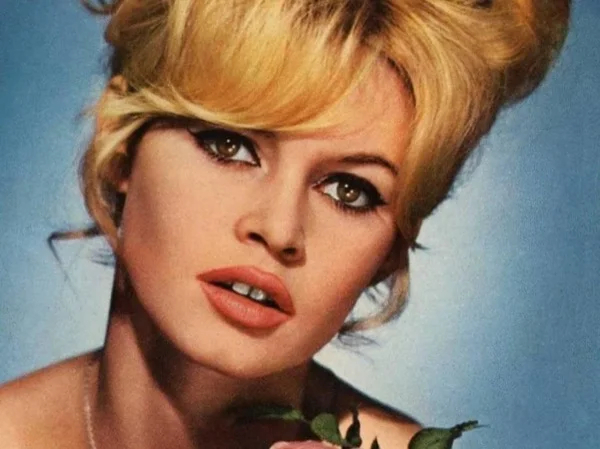 Cover media image