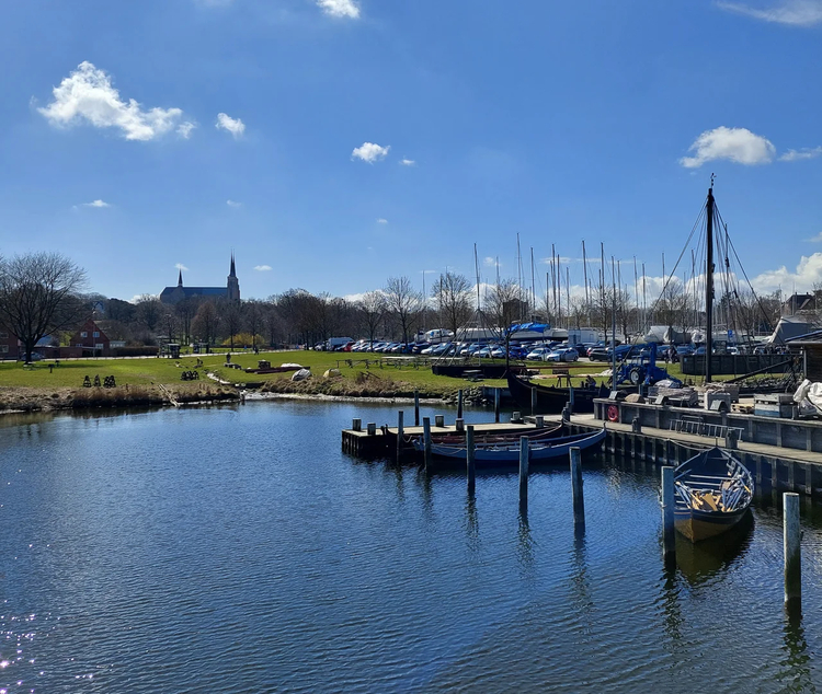 Cover media image
