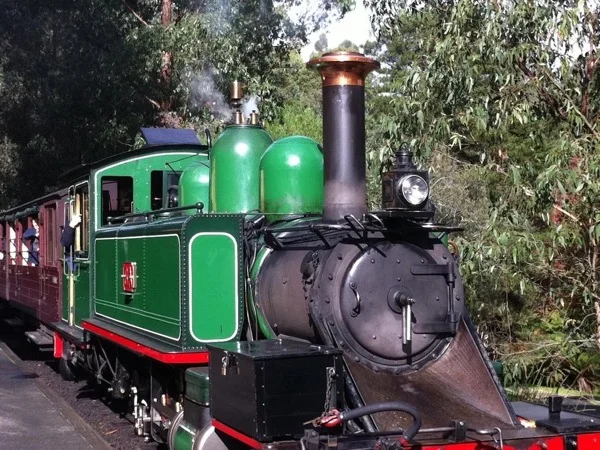 Puffing Billy & Dandenong Mountain Tour (Kangaroos in the Wild) Private tour From Melbourne