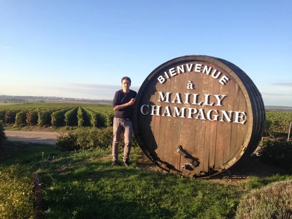 Private Bubble Tour : The vineyards of Champagne