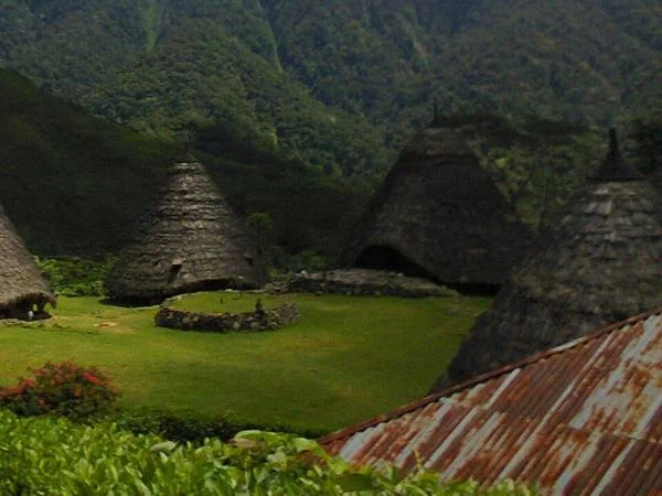 Wae Rebo Traditional Village Tour