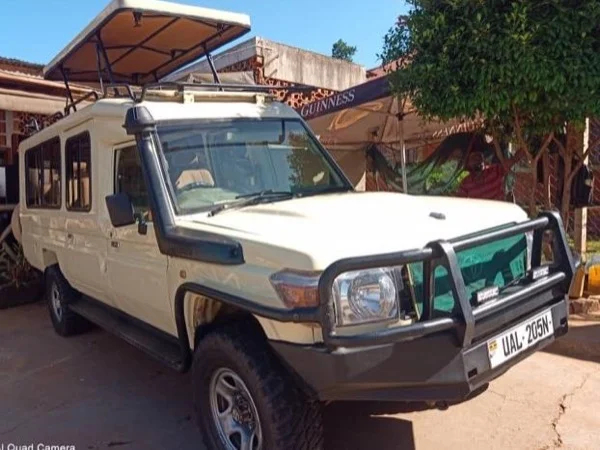 Mabamba swamp tour