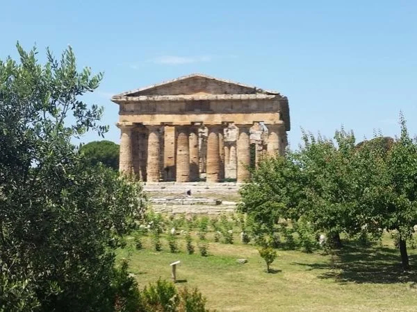 Full day tour to Ancient Paestum and Mozzarella Organic Farm