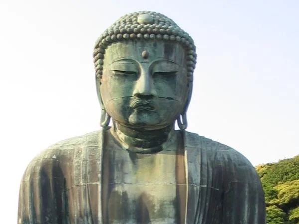 Cover media image