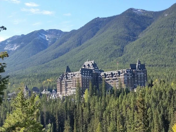 Cover media image