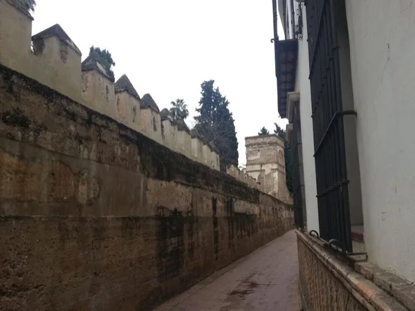 Your first day in Seville