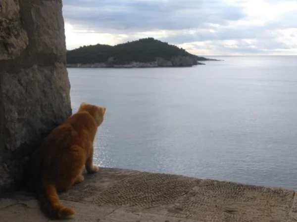 Dubrovnik Game of Thrones Tour - Extended