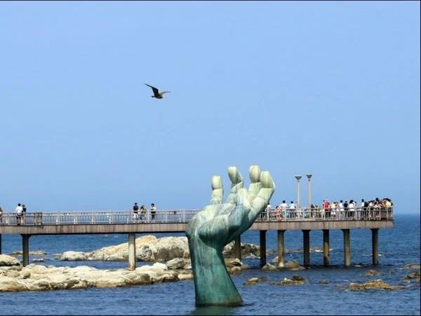 Cover media image