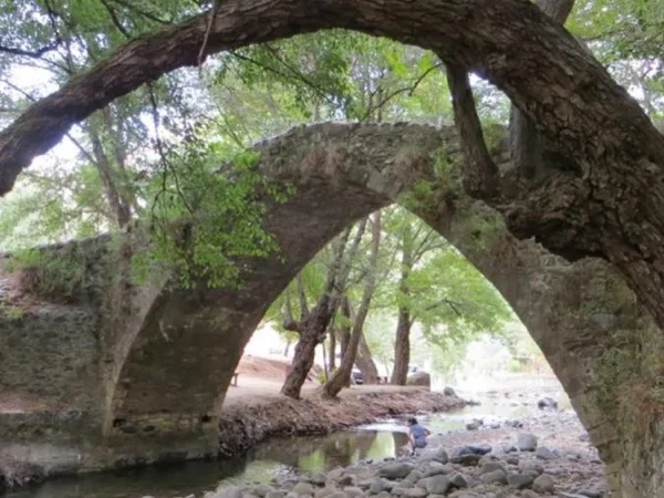 Discover the Troodos Mountains on a full-day tour from Paphos