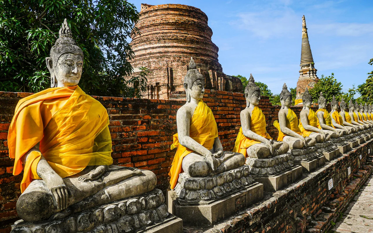 Cover media image