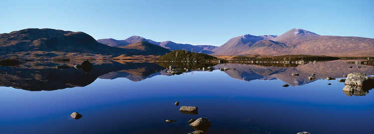 Cover media image