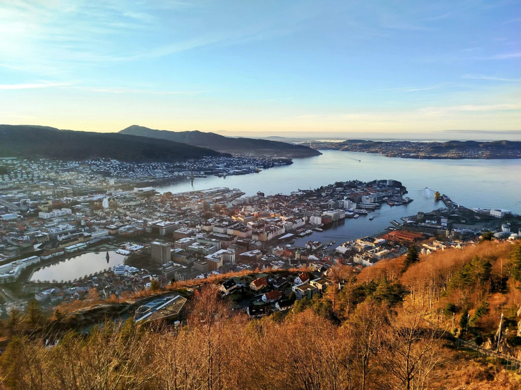 Cover media image