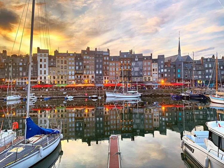 Cover media image