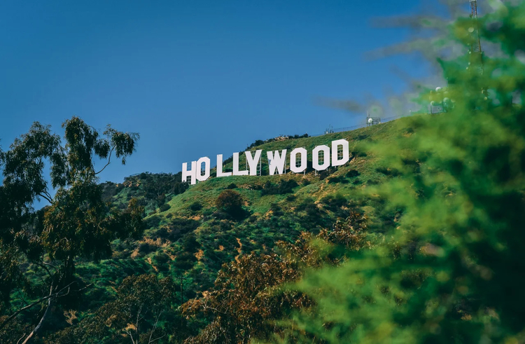 Cover media image