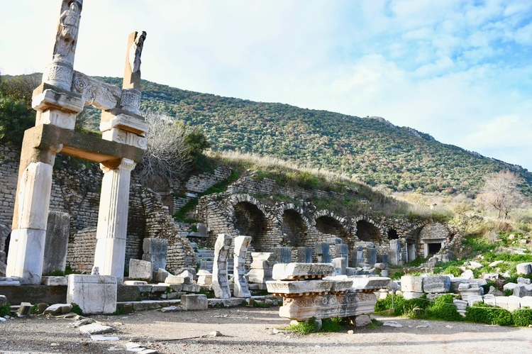 Cover media image