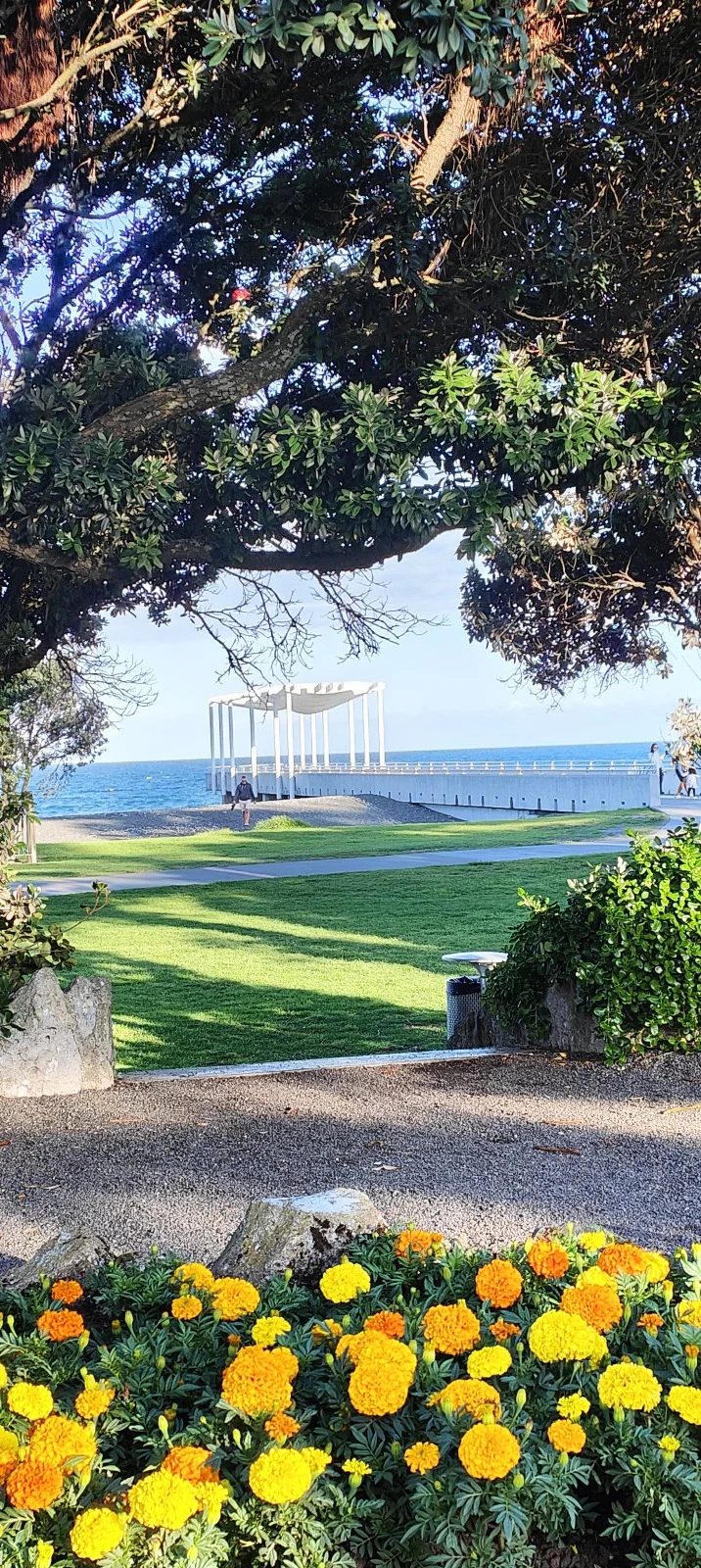 Cover media image