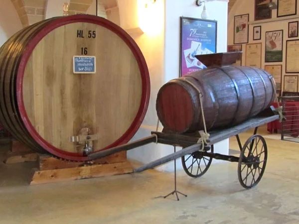 Wine ad olive oil tasting, food tour in Puglia and Basilicata