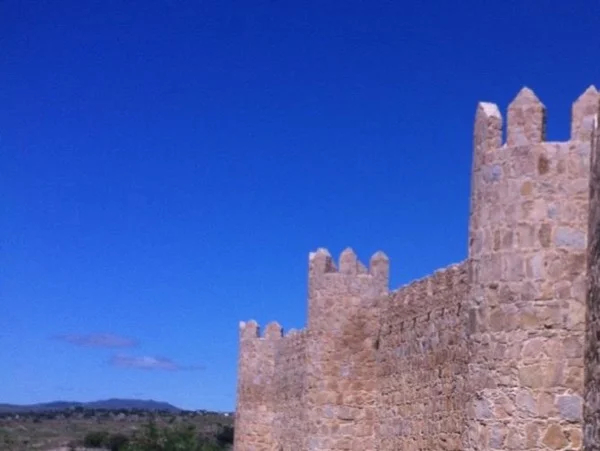 Avila and Segovia with private Transportation from Madrid. DAY TRIP. Private Tours