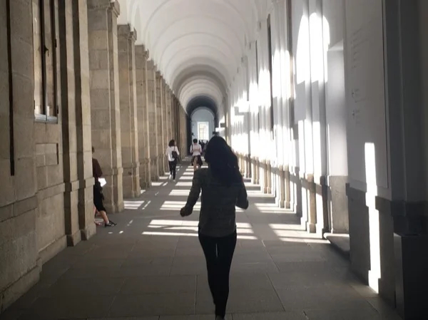 Reina Sofía Museum + Prado Museum Highlights - Private Tour