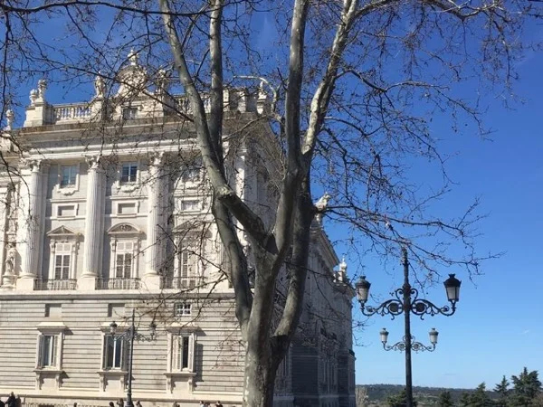 Madrid sightseeing Tour: express visit to main highlights 5 HOURS