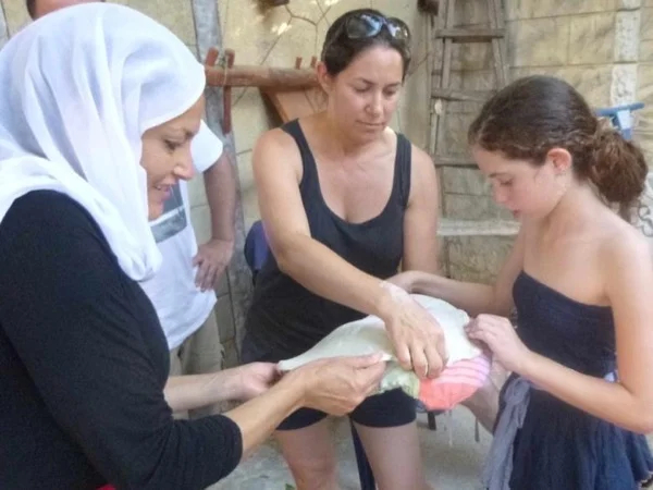 Galilee Cooking Workshop