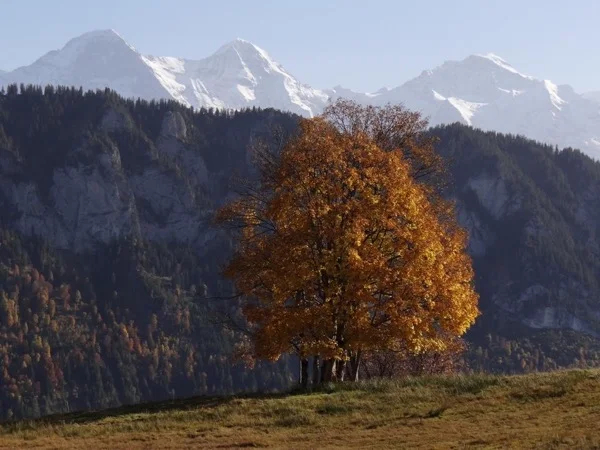Hiking the Bernese Oberland
