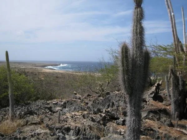 Bonaire tour - wild side and off the beaten path.