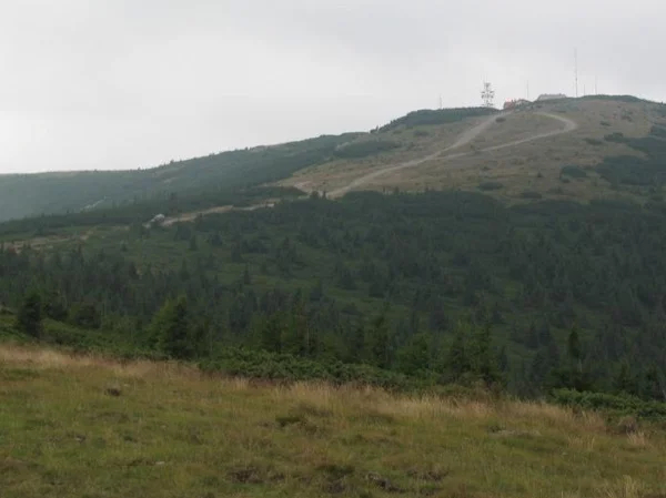 Vladeasa Mountains Tour