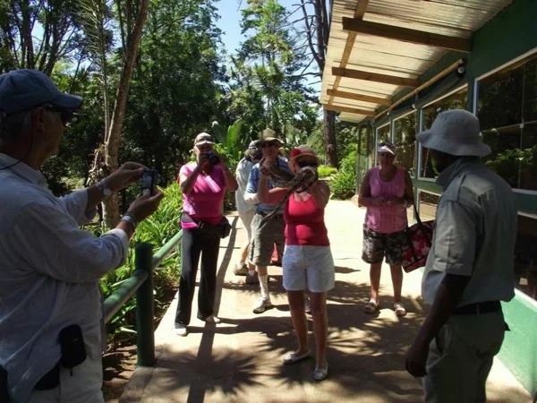 Valley of 1000 Hills Wildlife Safari and Zulu Cultural Private Tour