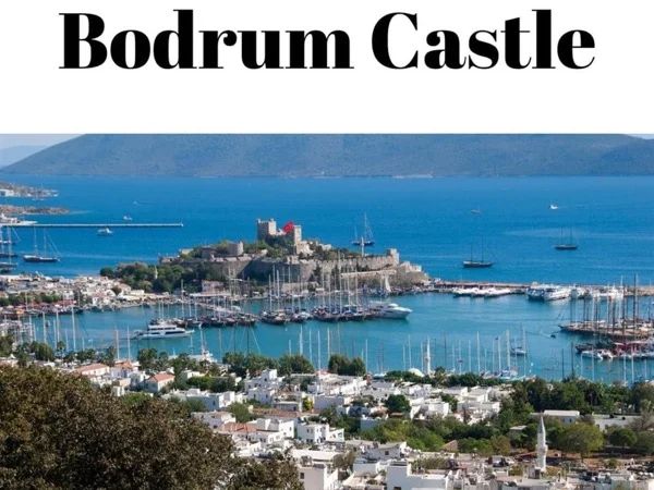 Cover media image