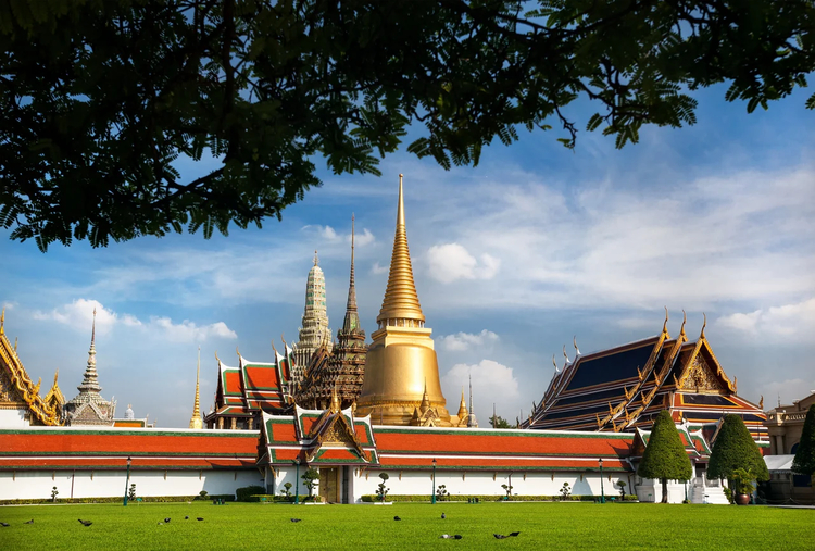 Cover media image