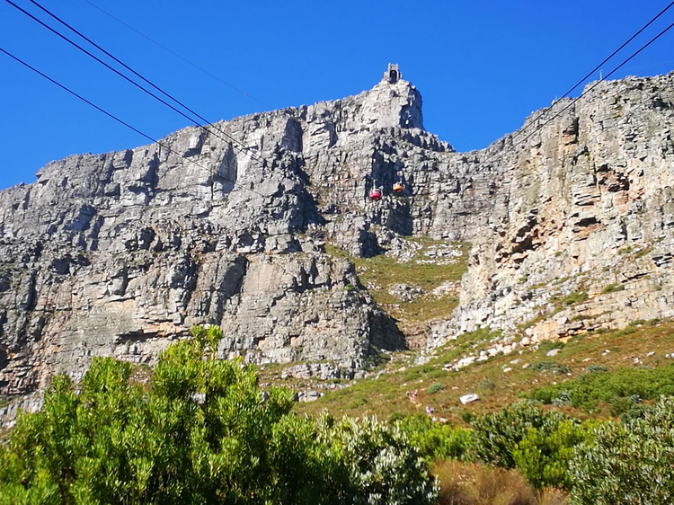 Cover media image